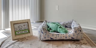 Reflection Pointe Gallery 26