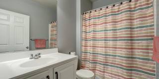 42461 ROCKROSE Square Gallery 29