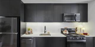 Velaris Living Gallery 19