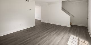 Hidden Colony Gallery 9