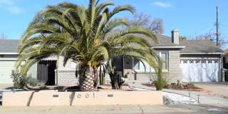 Beautiful 3 Bedroom and 2 Bathroom Home Gallery 15