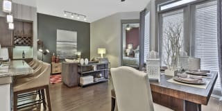 The Collection Gallery 16