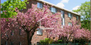 Amazing apartment in Allston Gallery 11