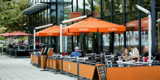 Insignia On M Gallery 36