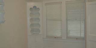 Perfect 4 Bedroom, 2 Bathroom House -- Walk to UF! Gallery 4
