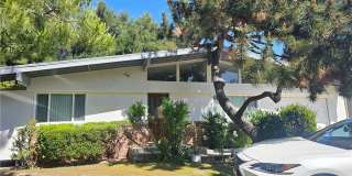 4542 La Granada Way Gallery 1