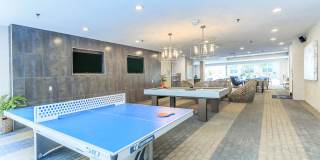 Jewel on Landmark Gallery 7