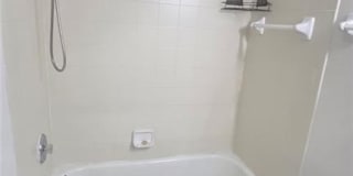 3642 Pine Oak Cir Gallery 14