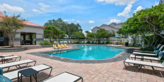 Vantage on Hillsborough Apartments Gallery 16