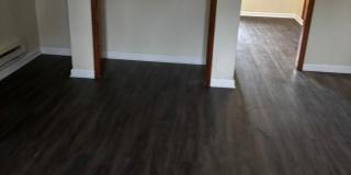 3BR SINGLE FAMILY HOME, FULL BASEMENT, GREAT YARD, PARKING, GARAGE Gallery 18