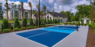 Palmhouse Gallery 10