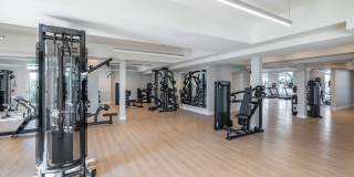 Illumina at Gulf Coast Town Center Gallery 6