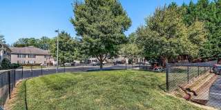 Ivy Hollow Gallery 11