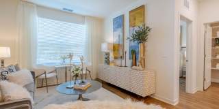 Altera Jacaranda Gallery 12