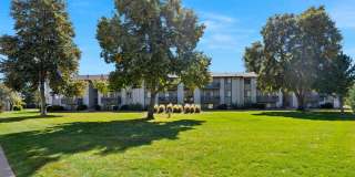 Newgate Apartments Gallery 22