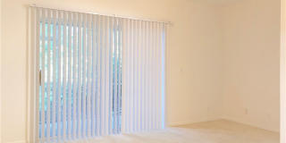 8073 Pacific Beach Drive Gallery 4