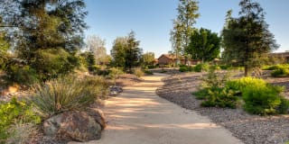 The Terrace Apartments Gallery 11