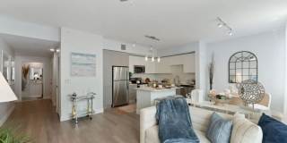 Marina del Sol Gallery 9