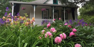 Charming and Sunlight 3BD, 1 BA in the Quaint DC Suburb of Mount Rainer, MD!!! Gallery 4