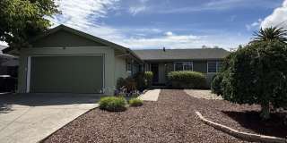 Sweet 3/2 Bedroom Single Level Home in East Petaluma - 1278 Pacific Avenue Gallery 1