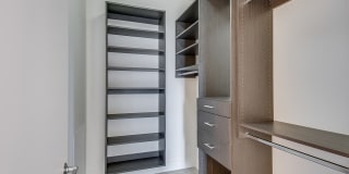 Windsor Cirrus Gallery 15