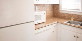 2 BR/2BA | Newly Renovated Single Family Home | Additional Storage| In North Knoxville! Gallery 27
