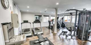 Juniper Springs Gallery 20