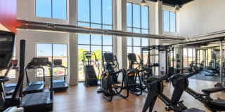 The Pioneer Gallery 20