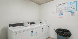 The Current 340 Gallery 19