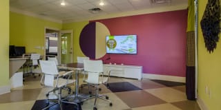 Ashley Collegetown Gallery 9