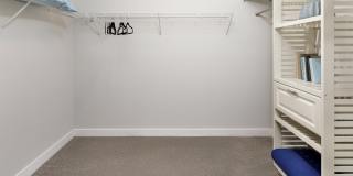 Argyle Lake at Oakleaf Town Center Gallery 9