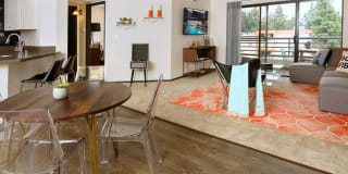 Ava Studio City Gallery 6