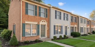 Linden At Elmtree Gallery 2