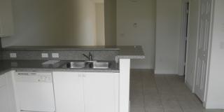 SHOMA TOWNHOUSES AT ROYAL PALM Gallery 6