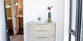 The Olive The Olive Gallery 18