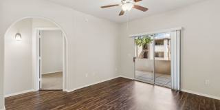 Silverbell Springs Gallery 62