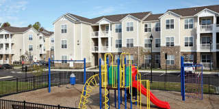 Addison Crater Woods Gallery 25