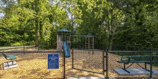 Helena Springs Gallery 42