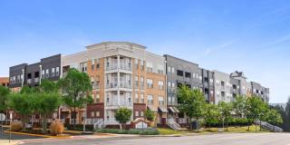 The Ridgewood by Windsor Gallery 16