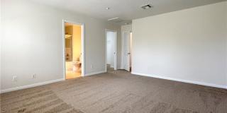 3188 MIST EFFECT Avenue Gallery 11
