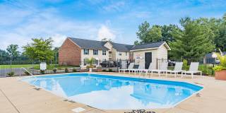 Bear Pointe Gallery 6