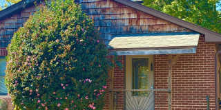 Black Mountain - Well Maintained Single Level Home Gallery 1