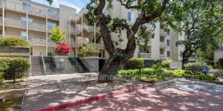 929 E. El Camino Real Gallery 1