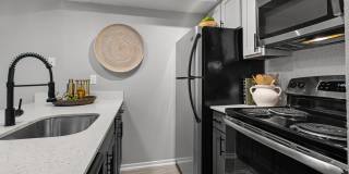 The Dahlia Gallery 1