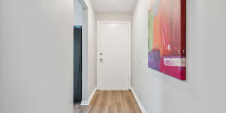 Buena Vista Gallery 63