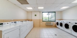 Windsor at Mariners Gallery 46