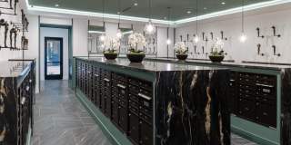 Alexan Camellia Gallery 30