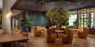 Alexan Camellia Gallery 20