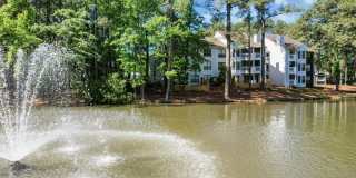 The Bailey Apartments Gallery 57