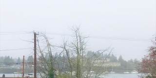 Sheridan Park/ East Bremerton 1 bed 1 bath duplex cottage Sheridan Park/ East Bremerton 1 bed 1 bath duplex cottage Gallery 24